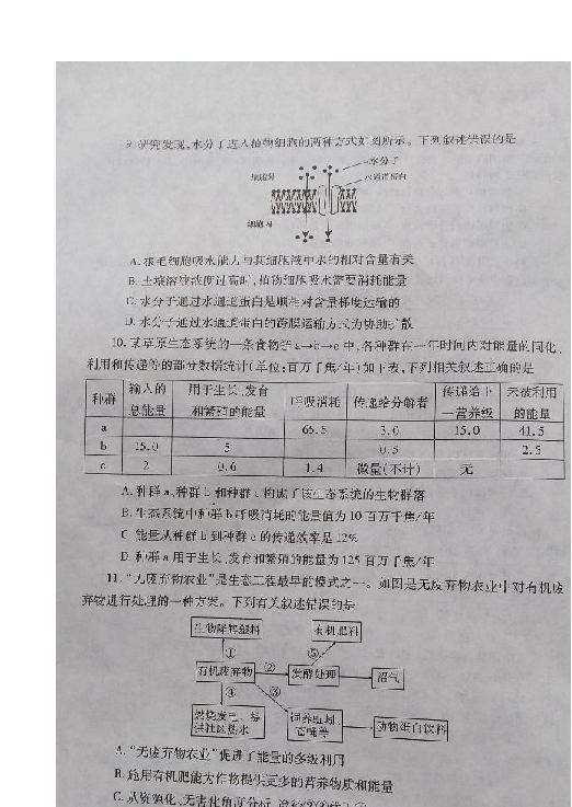 湖北省随州市2018-2019学年高二下学期期末考试生物试题 扫描版