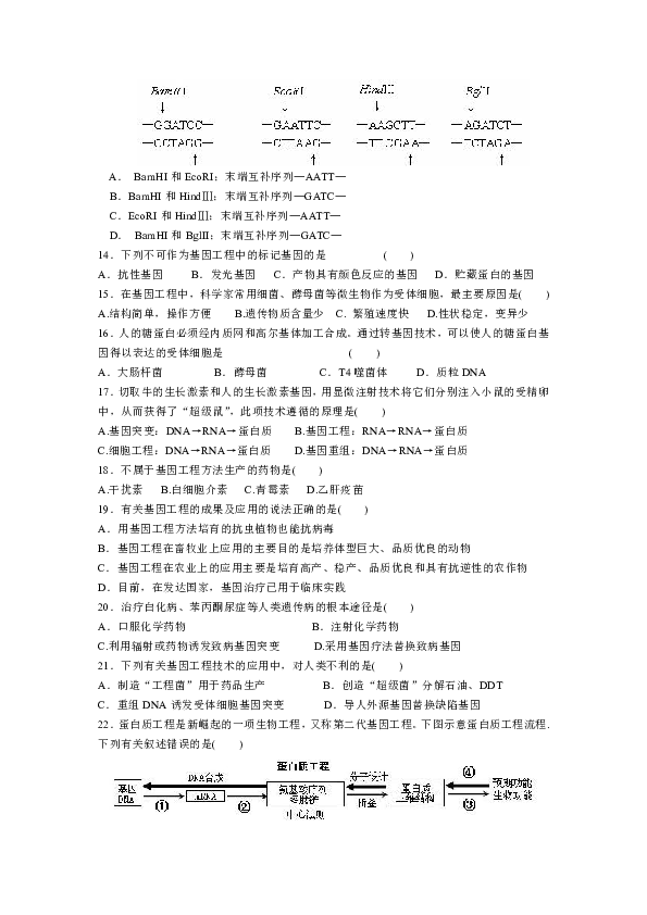 宝鸡市金台区2019年高二上学期生物期中质量检测试题