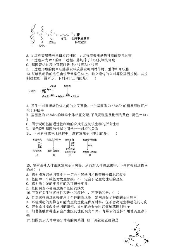 2019-2020学年辽宁省六校协作体高三上学期初考生物试卷