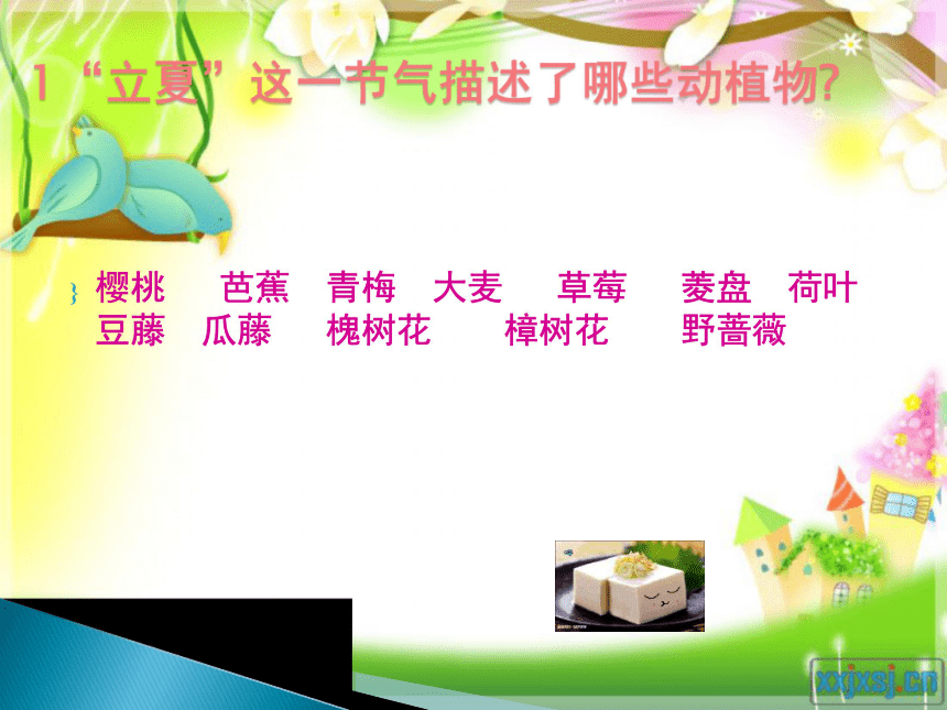 2015-2016鄂教版语文七年级下册第二单元课件：第7课《夏天的旋律》（共73张PPT）