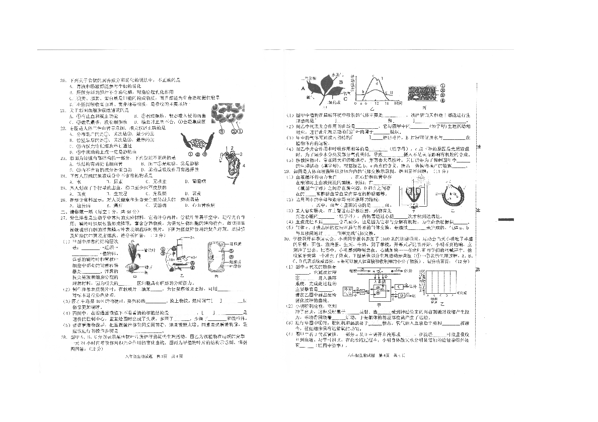 山东省枣庄市2018-2019学年度第二学期期中质量检测八年级生物试题（图片版含答案）