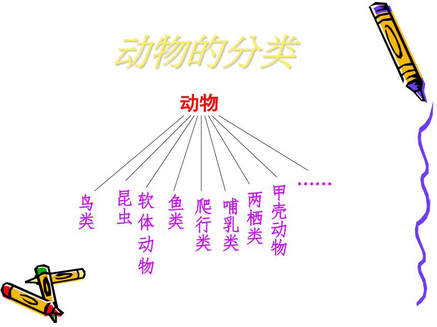 科学五年级下苏教版3.2动物怎样繁殖后代课件6