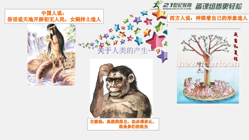 第一课 中国早期人类的代表—北京人 课件