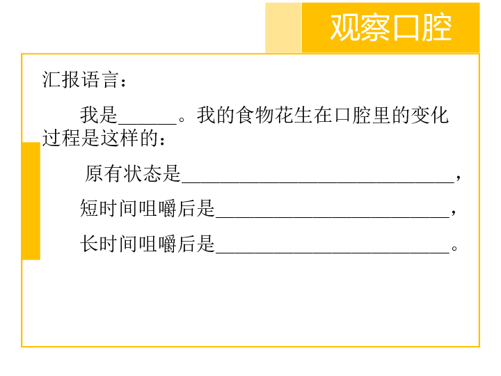 四年级上册科学4.6食物在口腔里的变化 课件教科版(共24张PPT)