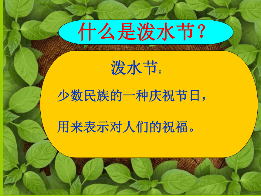 语文五年级下新教版（汉语）11《难忘的泼水节》课件（46张）1