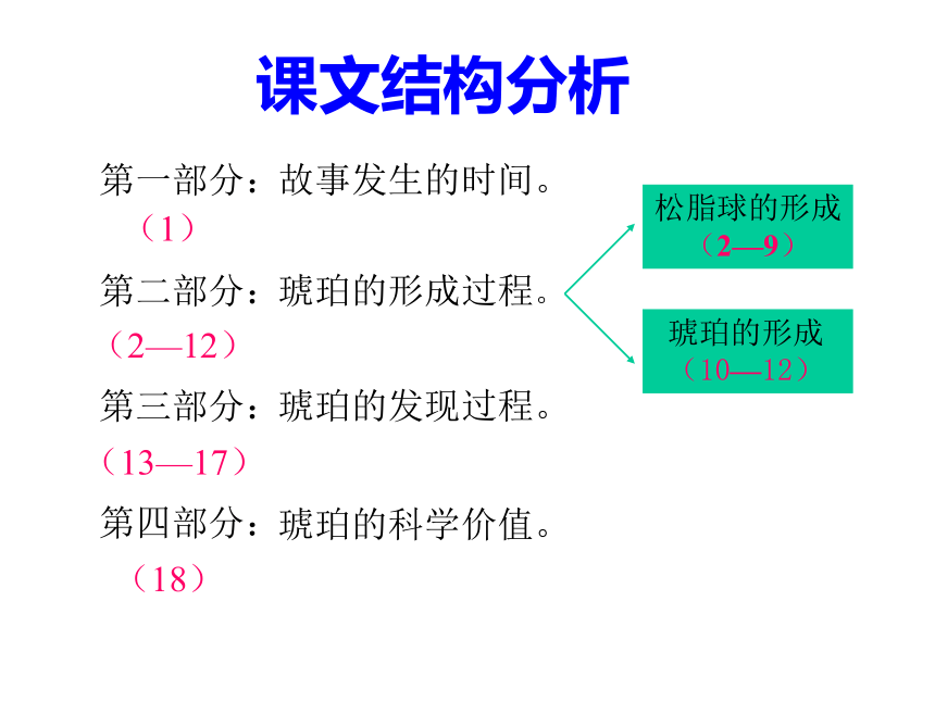 《奇异的琥珀 》课件