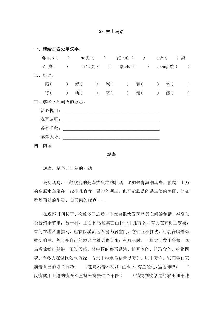 28空山鸟语 同步练习（含答案）