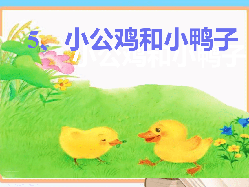 5 小公鸡和小鸭子 课件