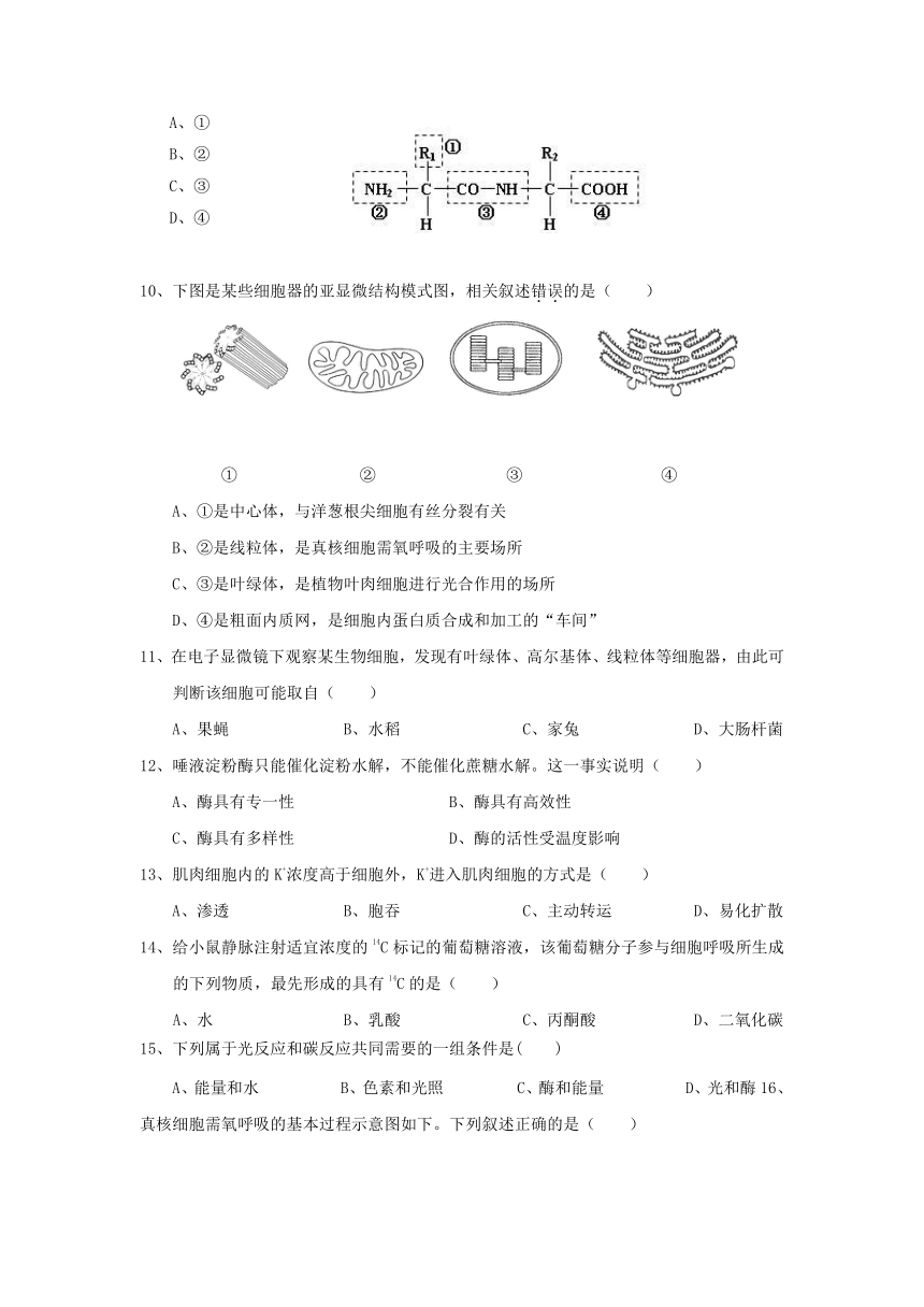 浙江省嵊州市爱德外国语学校2016-2017学年高一下学期期中考试生物试卷