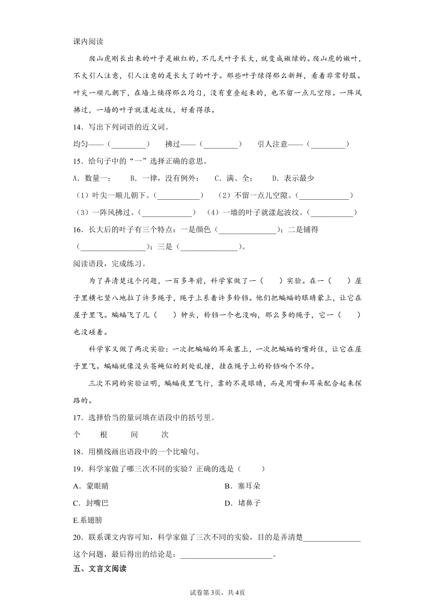 课件预览