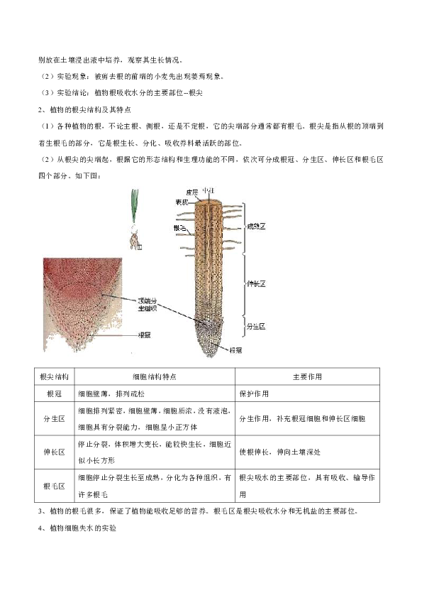 4.3 植物的根与物质吸收 导学案（含答案）