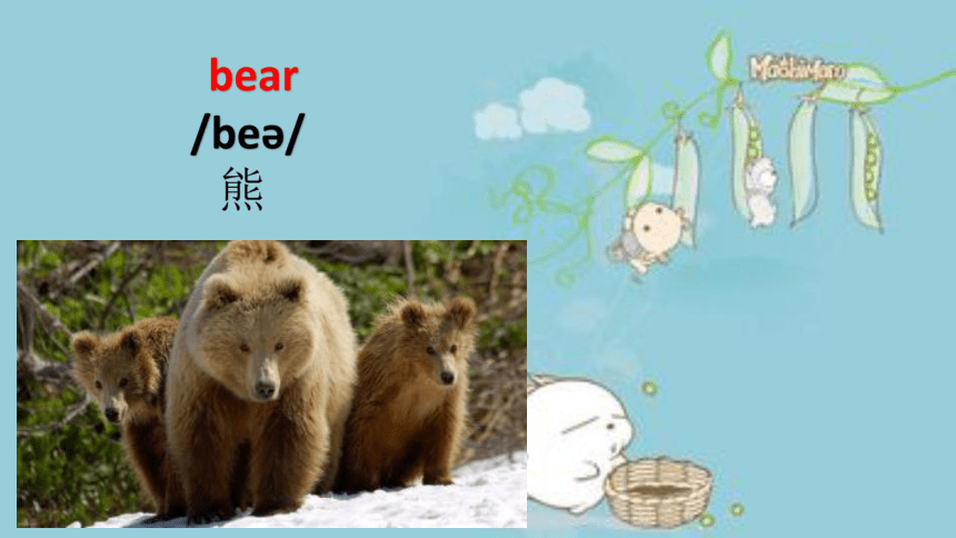 Lesson 8 Tiger and bear 课件