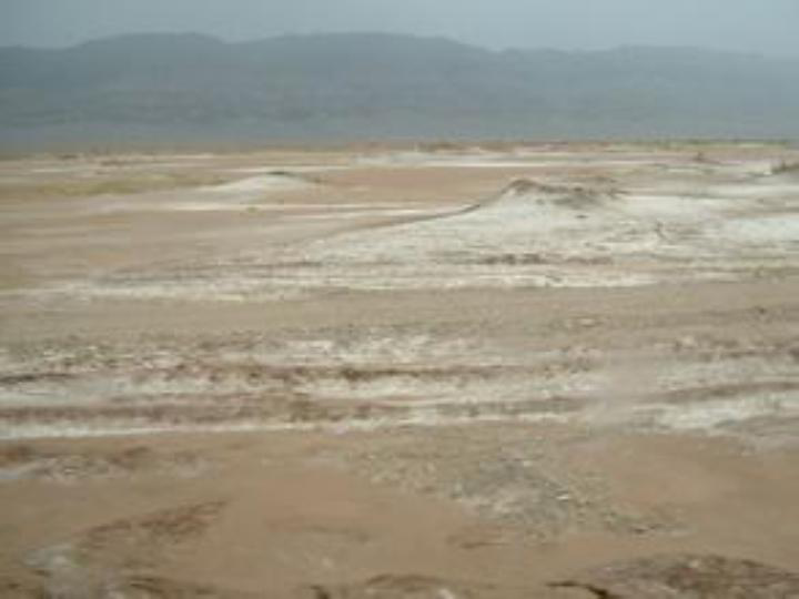人教版地理八年下册 8.2干旱的宝地──塔里木盆地 (共43张PPT)