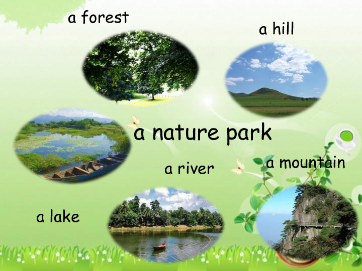 Unit 6 In a nature park PA  Let’s learn 课件（18张PPT）