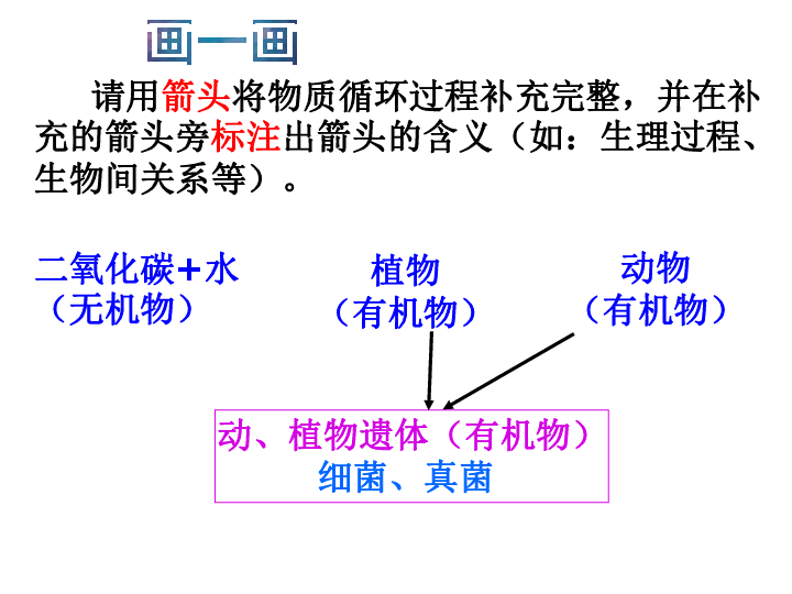 动物在生物圈中的作用课件（18张PPT）