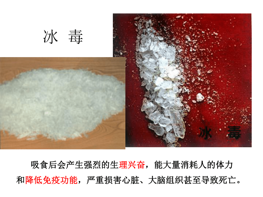 拒绝毒品课件（39张幻灯片）