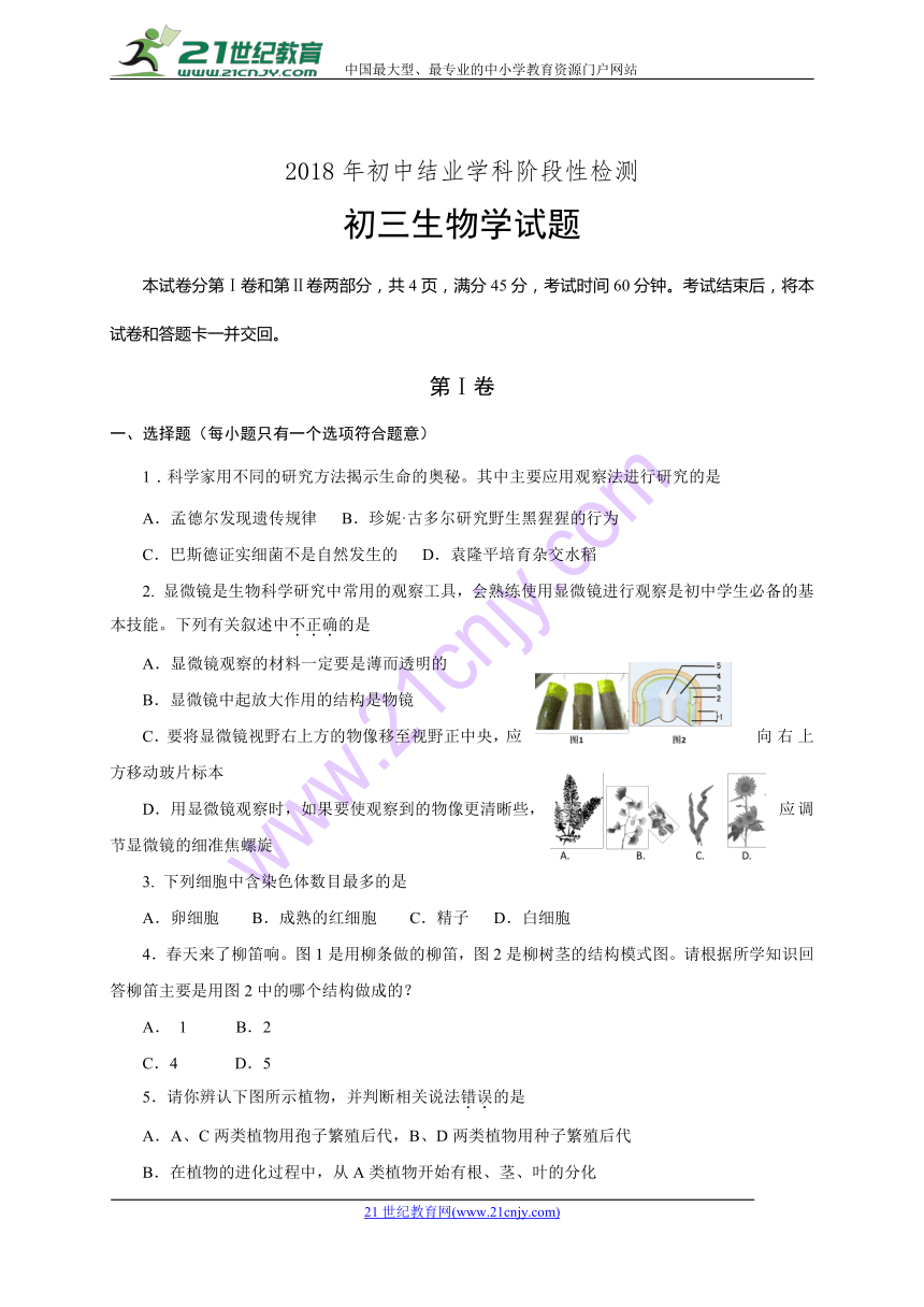 山东省淄博市张店区2018届九年级第一次模拟考试生物试题