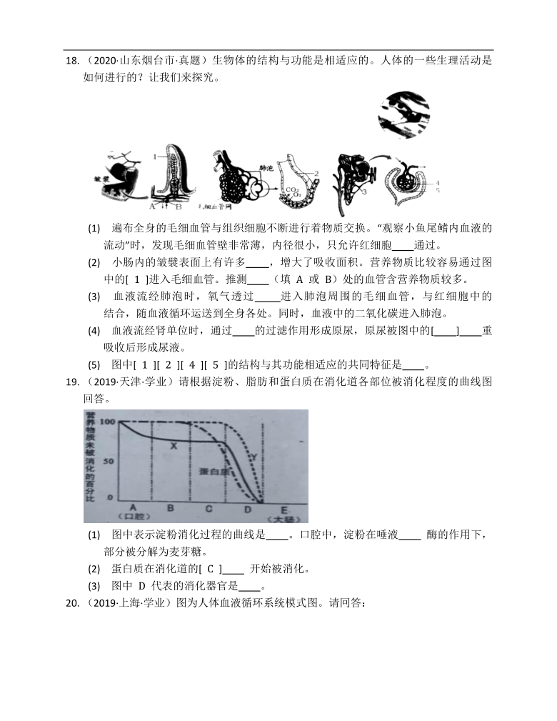 沪教版生物第一册第1章人体生命活动的基本条件单元练习（word版含答案）