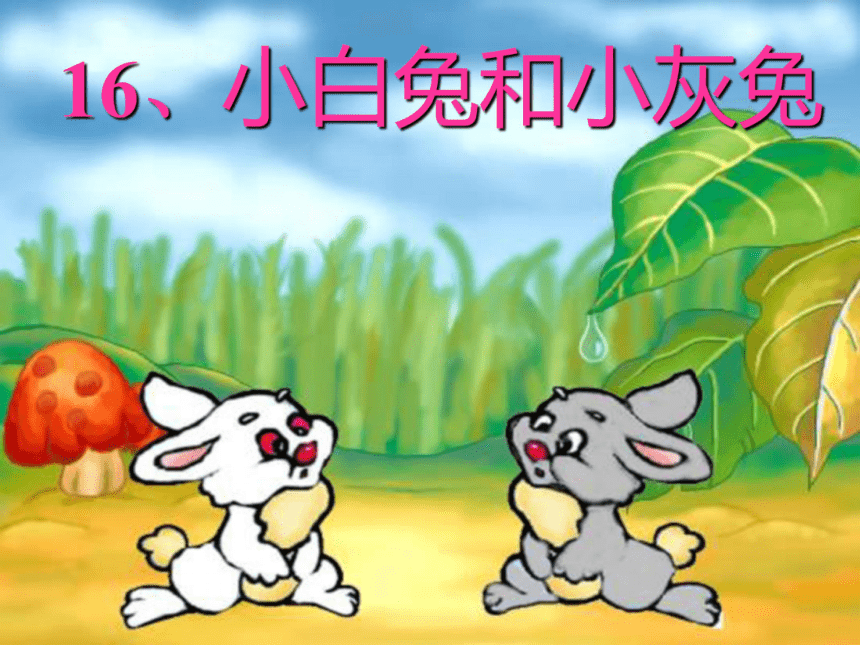 语文一年级下北京版5.16《小白兔和小灰兔》课件