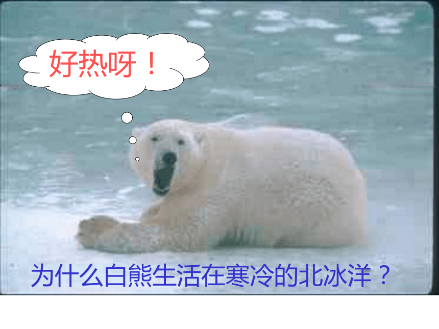 动物和环境(山西省太原市)