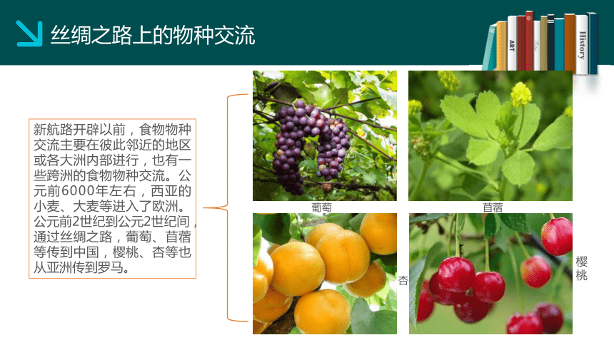 茶艺培训心得体会_茶艺培训心得200_培训心得体会茶艺怎么写