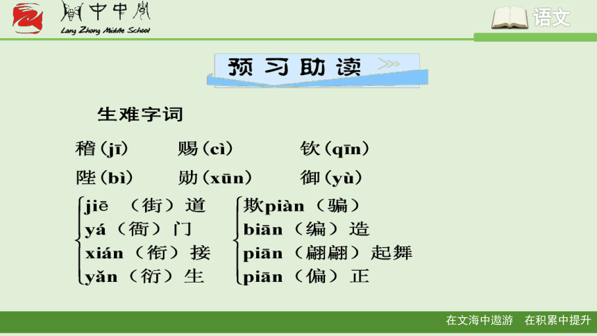 19《皇帝的新装》课件35张PPT