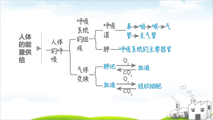 2022年福建中考生物考点突破第26课时生物圈中的人（41张PPT）