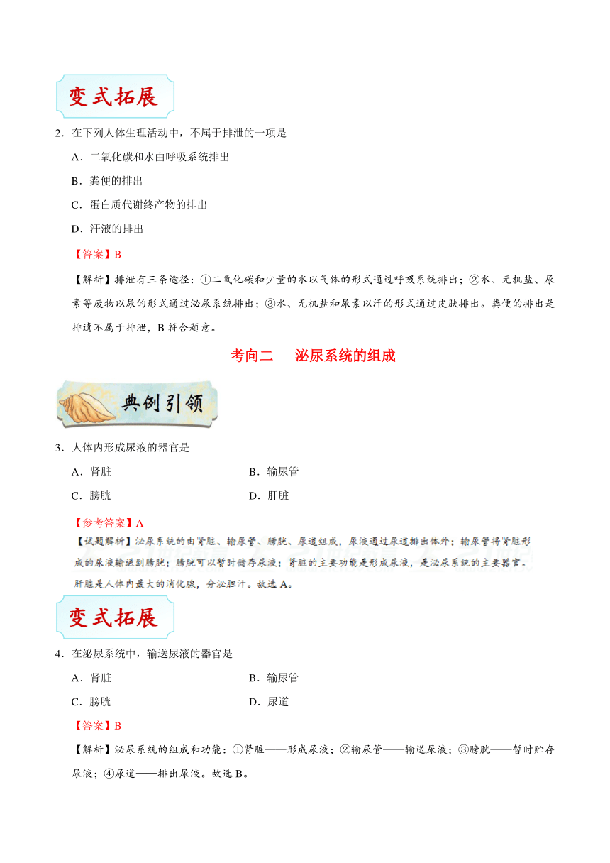 考点26 人体内废物的排出-备战2018年中考生物核心考点全突破