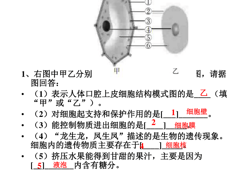 第2章 观察生物练习题