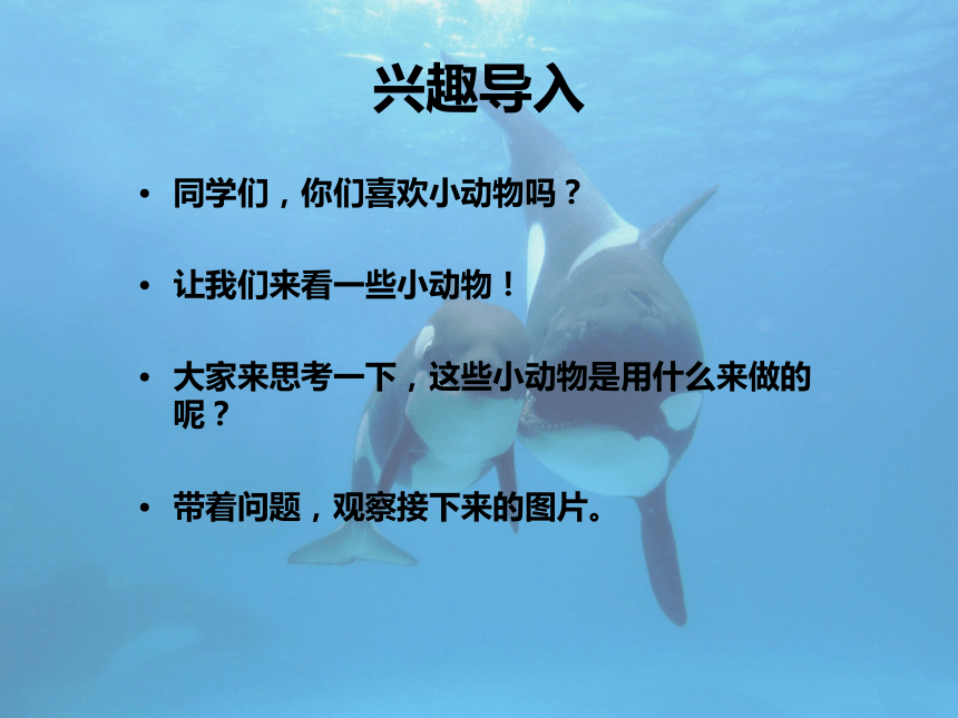 辽海版第13课张大嘴巴的动物课件11张ppt