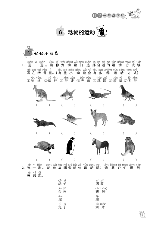 小学课堂作业 青岛版 科学 一年级下册第六课动物的运动 pdf版 无答案