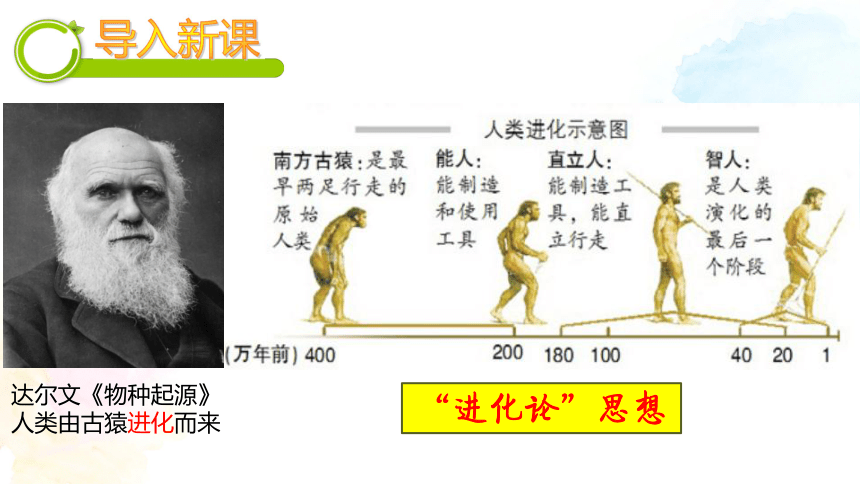 第1课 中国境内早期人类的代表——北京人 课件(共21张PPT)
