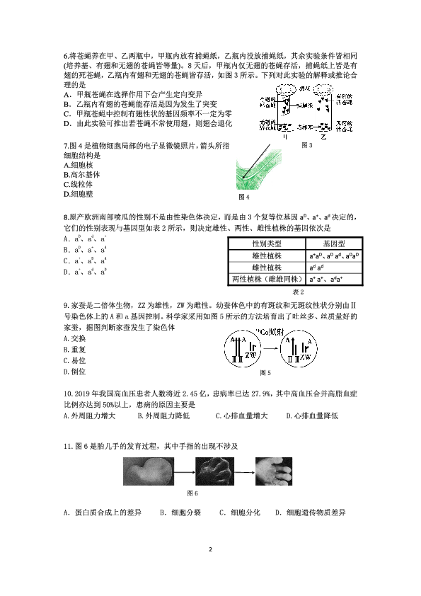 2019学年第二学期上海市奉贤区学科质量调研生物 （pdf）
