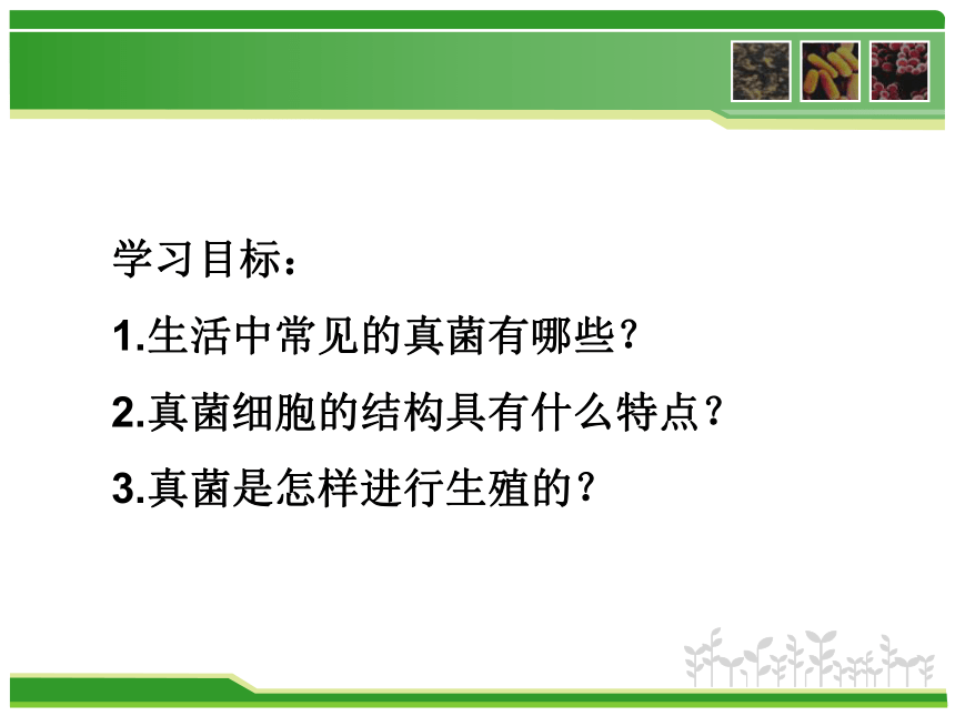 5.4.3 真菌 课件（含22张ppt）+素材