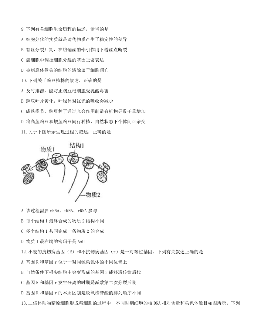 北京市朝阳区2018届高三上学期期中统一考试 生物