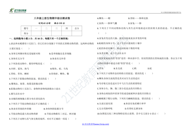 人教版八年级上册生物期中综合测试卷（含答案）