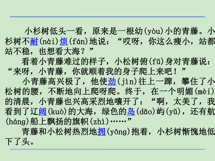 小学语文湘教版二年级下册同步课件：27松树和青藤
