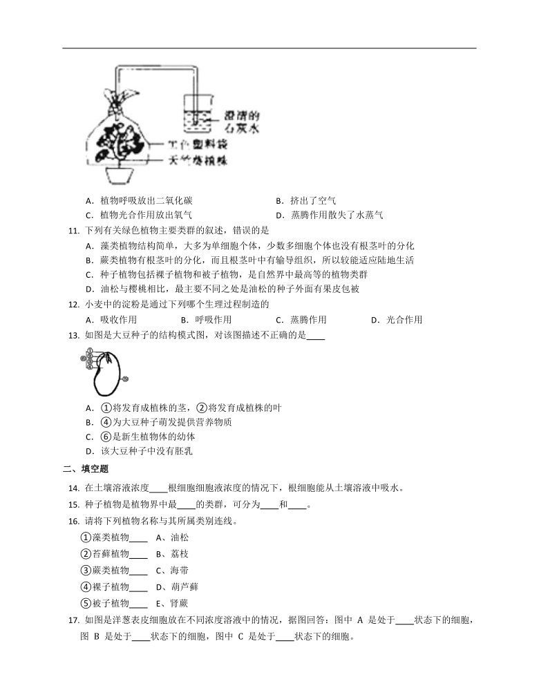 沪教版第二册生物 4.1植物课时训练（含答案）