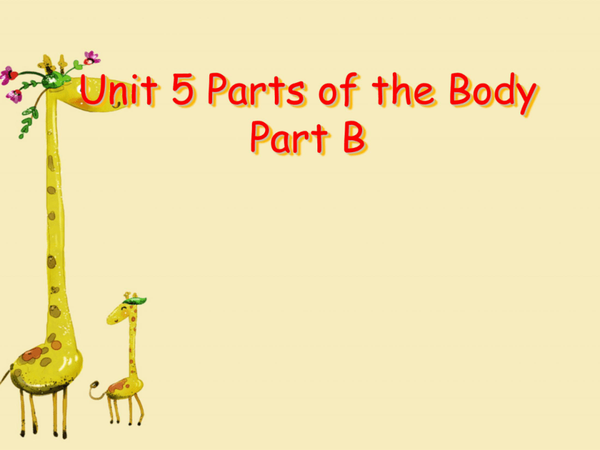 Unit 5 Parts of the Body  PB 课件