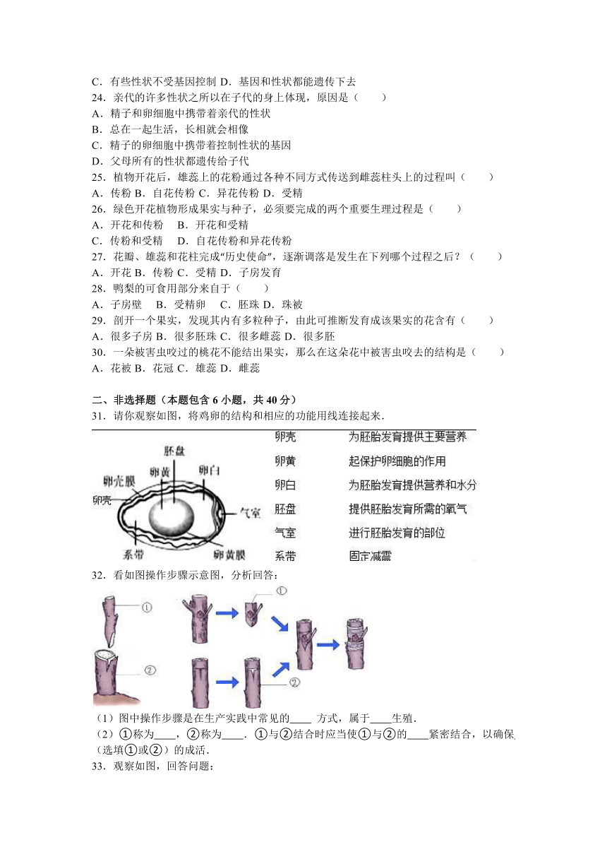 黑龙江省大庆市杜蒙县2016-2017学年七年级（上）第一次月考生物试卷（五四制）（解析版）