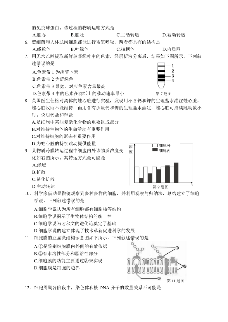 浙江省丽水市普通高中2020-2021学年高一上学期期末教学质量监控生物试卷    含答案