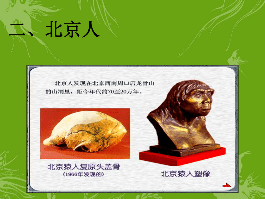 第1课 中国早期人类的代表-北京人 课件