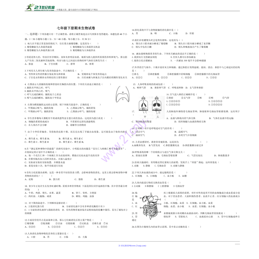 新人教版七年级生物下册期末测试卷(无答案）