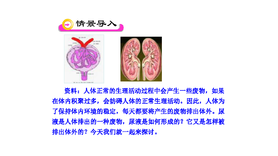 苏教版生物七年级下册：11.1 人体泌尿系统的组成  课件（共18张PPT）