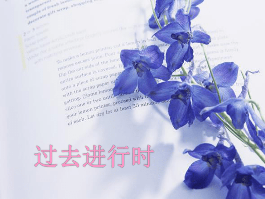 课件预览