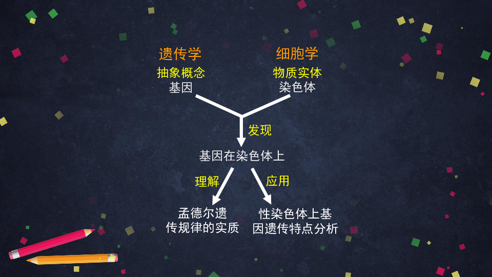 高一生物学人教版必修2合格考复习5：遗传的细胞基础（43张PPT课件）