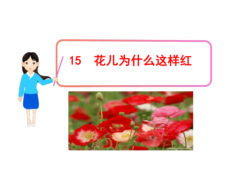 语文课件：15花儿为什么这样红（苏教版八年级下）