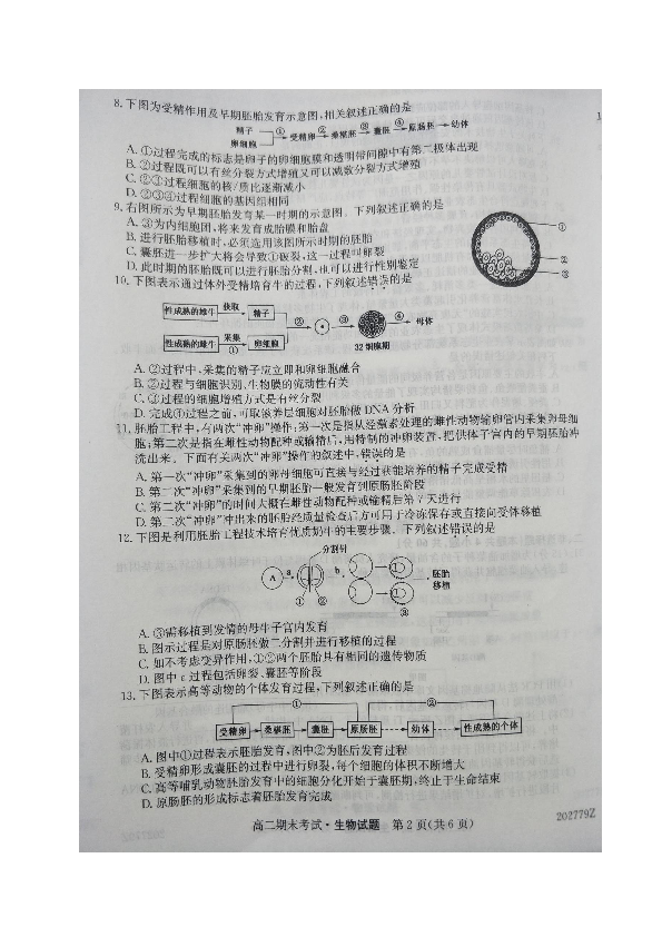 陕西省铜川一中2019-2020学年高二下学期期末考试生物试题 图片版