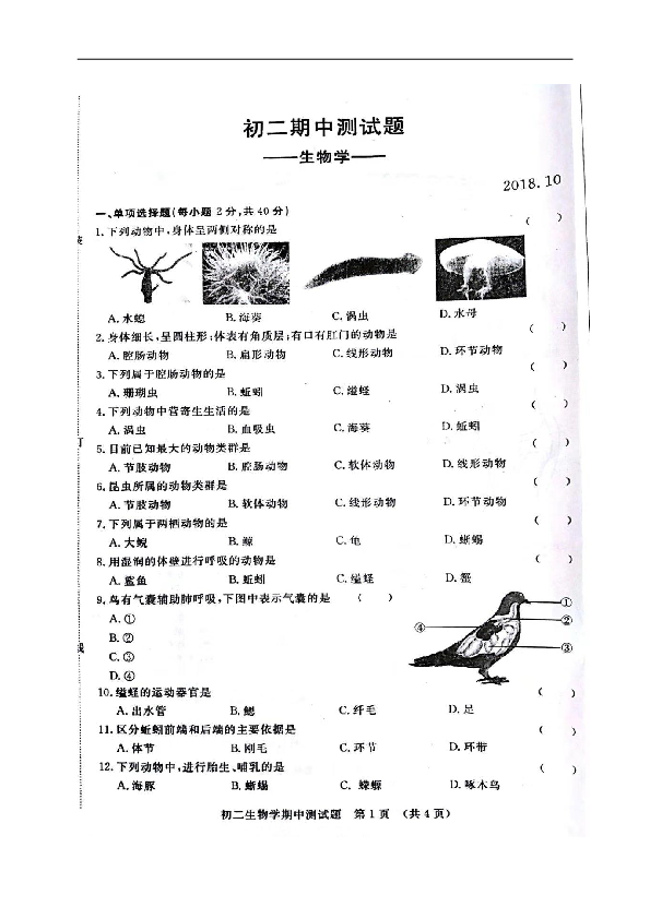 吉林省长春市第七十二中学2018-2019学年八年级上学期期中考试生物试题（扫描版，含答案）