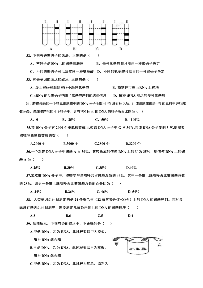 甘肃省天水市第二中学2016-2017学年高一下学期期中考试生物试题